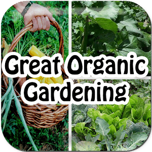 Great Organic Gardening