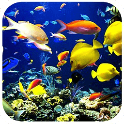 3D Underwater World