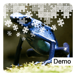 Frog Jigsaw Puzzles Demo