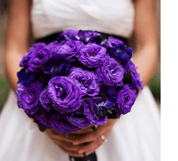 Events planner