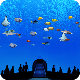 Beautiful Sea World Trial