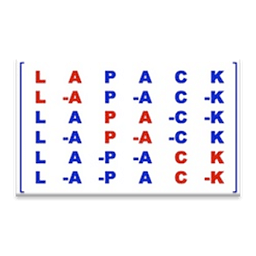 lapack man