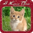 Love U : Photo Frames