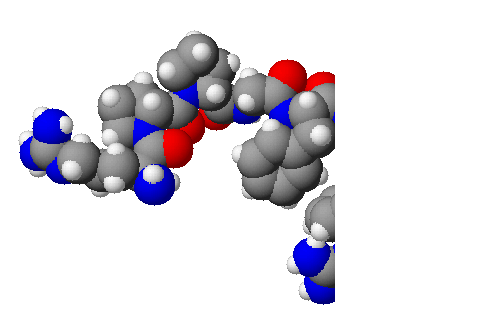 Human Hormones