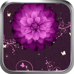 紫荆花开-绿豆动态壁纸