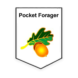 Pocket Forager