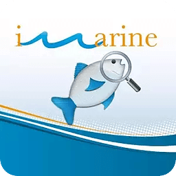 iMarine Search