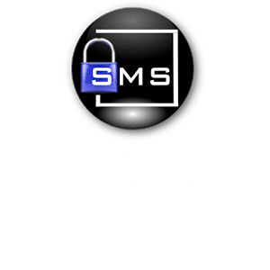 Safe Mobile Monitor