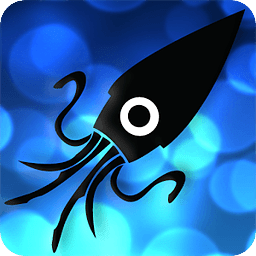 Squid Scanner