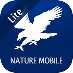 iKnow Birds 2 LITE - USA...