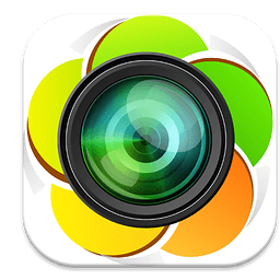 Camera Photo Grid