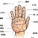 男女通用简易手相图解