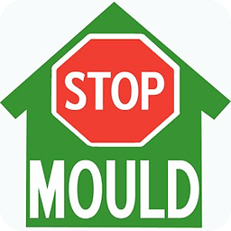 Mould In Your Home