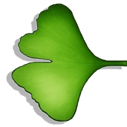 Ginkgo Audiobook Player