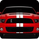 Muscle Cars