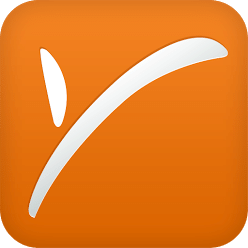 Payoneer