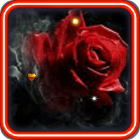 Gothic Rose Live Wallpaper