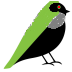 AndBird - Midi Lyrics Player