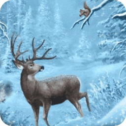 Deer &amp; Squirrel In Winter