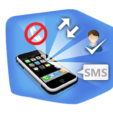 Call Manager Widget