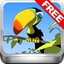 Save My Birds Kids Game