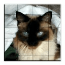 Ragdoll Cat Puzzles