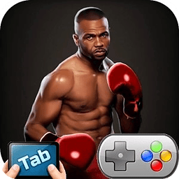 Box Fight 3D TAB