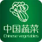 中国蔬菜门户网