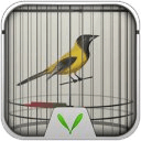 Little Bird Theme-LockerMaster