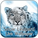 Snow Leopard 3D Cube LWP