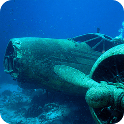 Marvels Of The Sea