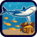 Shark Treasure Discovery