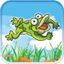 Frog Pond Magic Jump Mania VIP