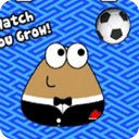 Pou Game Free Cheats