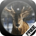 Deer Danger Hunter