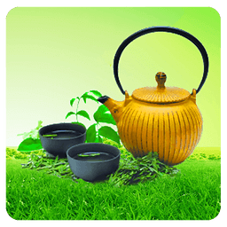 中国安吉白茶平台