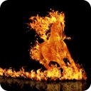 Angry Hot Fire Horse