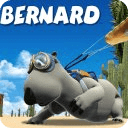 Bernard Bear Full Episode HD