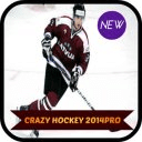 Crazy Hockey 2014PRO