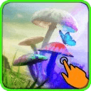 Mushrooms 3D Live Wallpaper