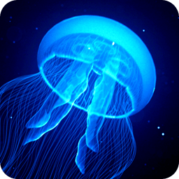 Night Light Jelly Fish LWP