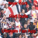 New York Red Bulls Fan