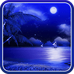 Night Beach Live Wallpaper