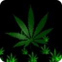 Cannabis Leaf LWP