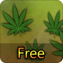 Ganja GL Free Live Wallpaper