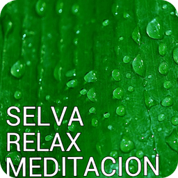 Sonidos relax meditaci&oacute;n selva