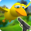 Bird Hunting Game