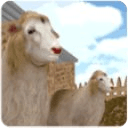 Sheeps Thief 3D