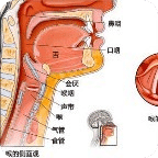唱歌发声的基础知识