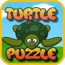 Free Turtle Games for Toddlers